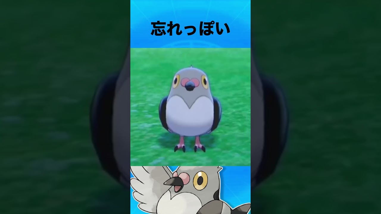 マメパトについて #ポケモン #マメパト