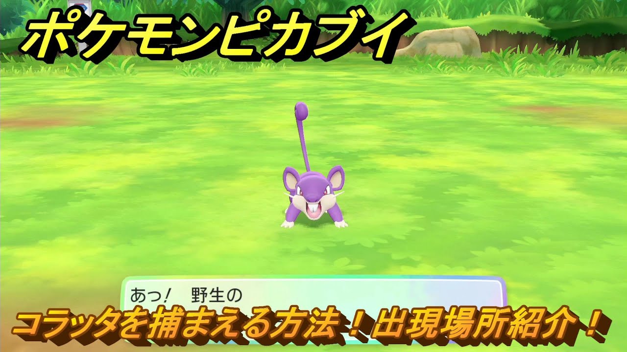ポケモンピカブイ　コラッタを捕まえる方法！出現場所紹介！図鑑コンプへの道！　【ポケットモンスター Let's Go! ピカチュウ・イーブイ】