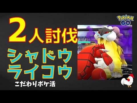 本編【圧勝！シャドウライコウ、2人討伐】 #ポケモンgo #pokemongo #ライコウ #レイドバトル #グラードン