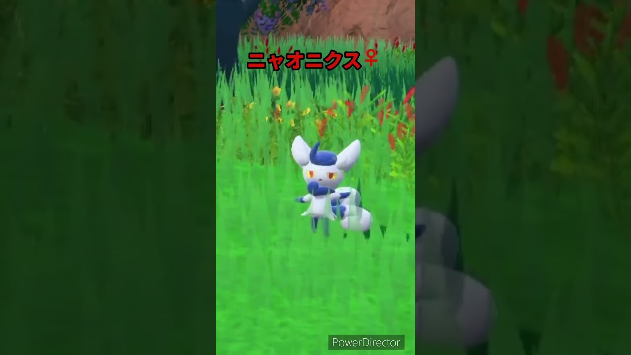 【ポケモンバイオレット】ニャオニクスってオスの方がかわいいよね　#ポケモンバイオレット #ゲームリハビリ #shorts