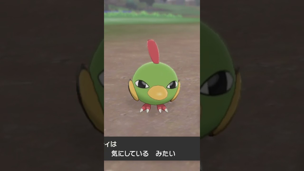 ネイティ Natu【ポケモン剣盾】