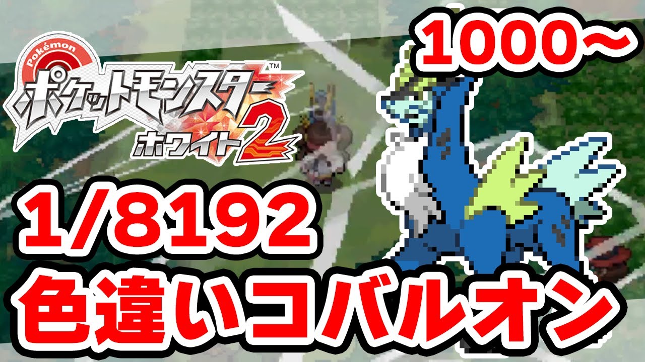 色違いコバルオンを狙うぞ 1000~【ポケモンBW2】