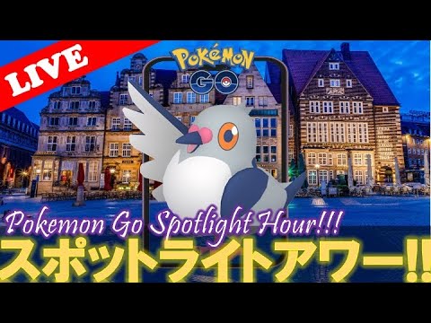【🔴LIVE】スポライ: マメパト大量発生!! 「✨色違いゲットだぜ!!✨」【スポットライトアワー】【ポケモンGO】