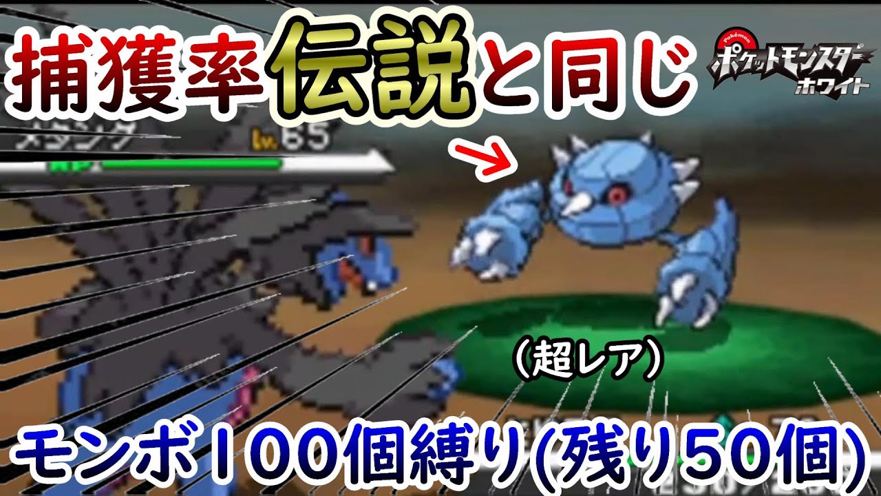 【ひんしで即逃がす縛り】奇跡のメタング捕獲戦【ポケモンBW】