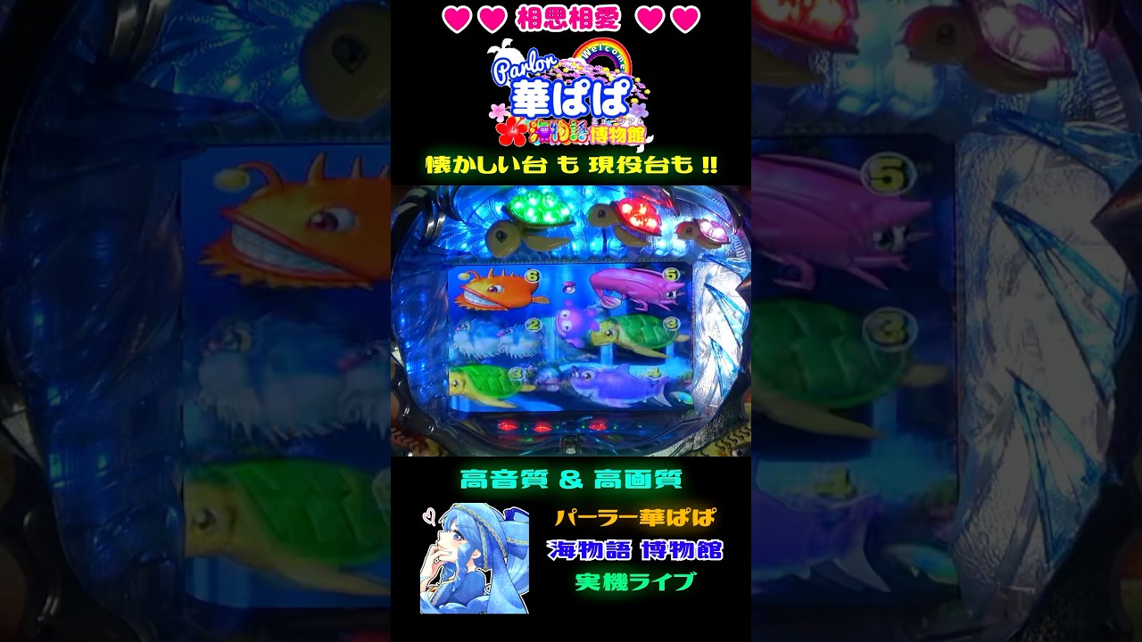 《 海物語検定 》🐳クジラッキープレミアム🐳❓もうひとつ存在する「大当り濃厚演出」は❓【 パーラー華ぱぱ・海物語 博物館 】ショート動画 #shorts