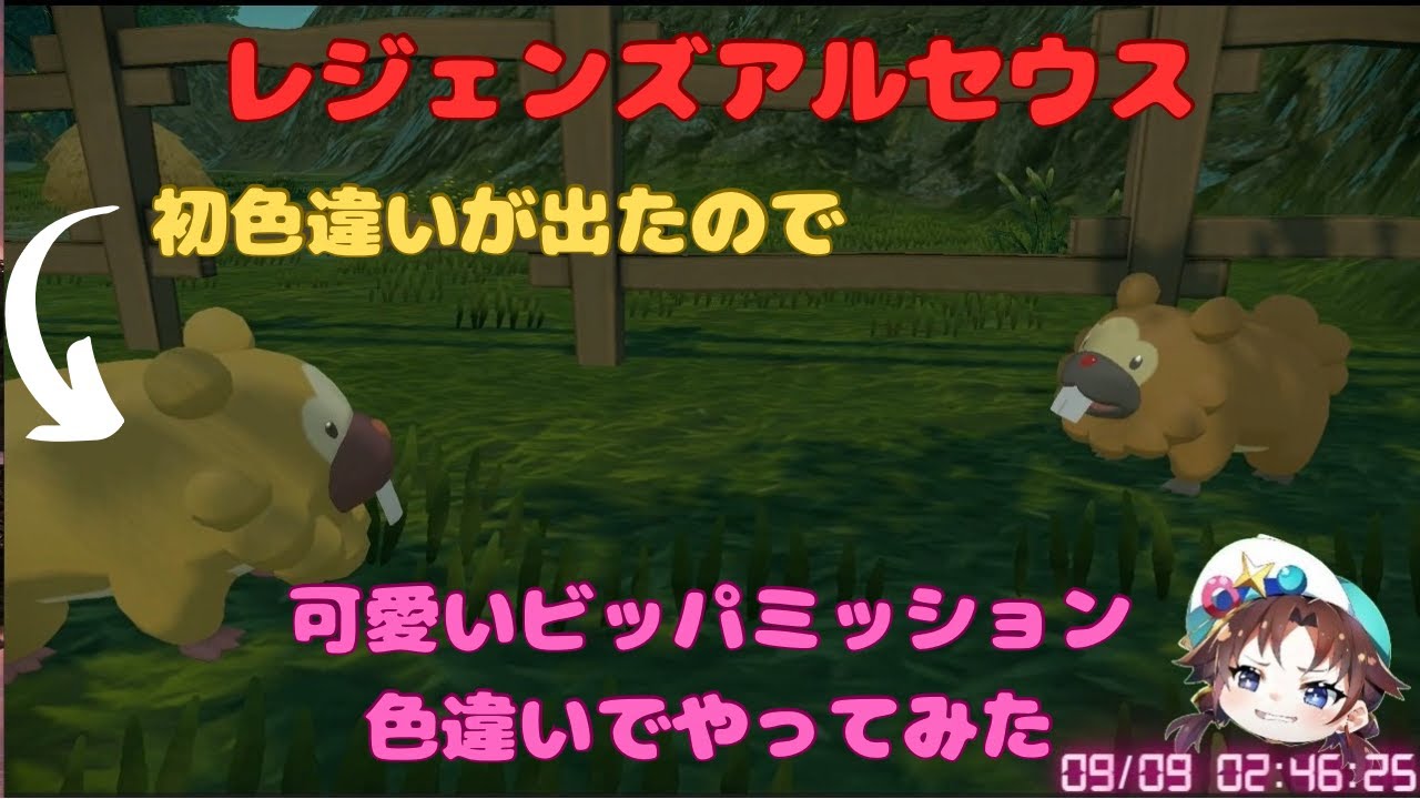 レジェンドアルセウスで初色違いビッパ