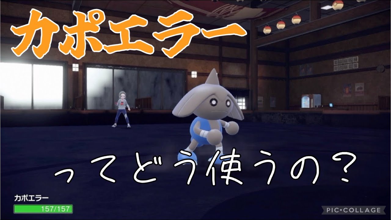 【ポケモン】カポエラーの育成方法