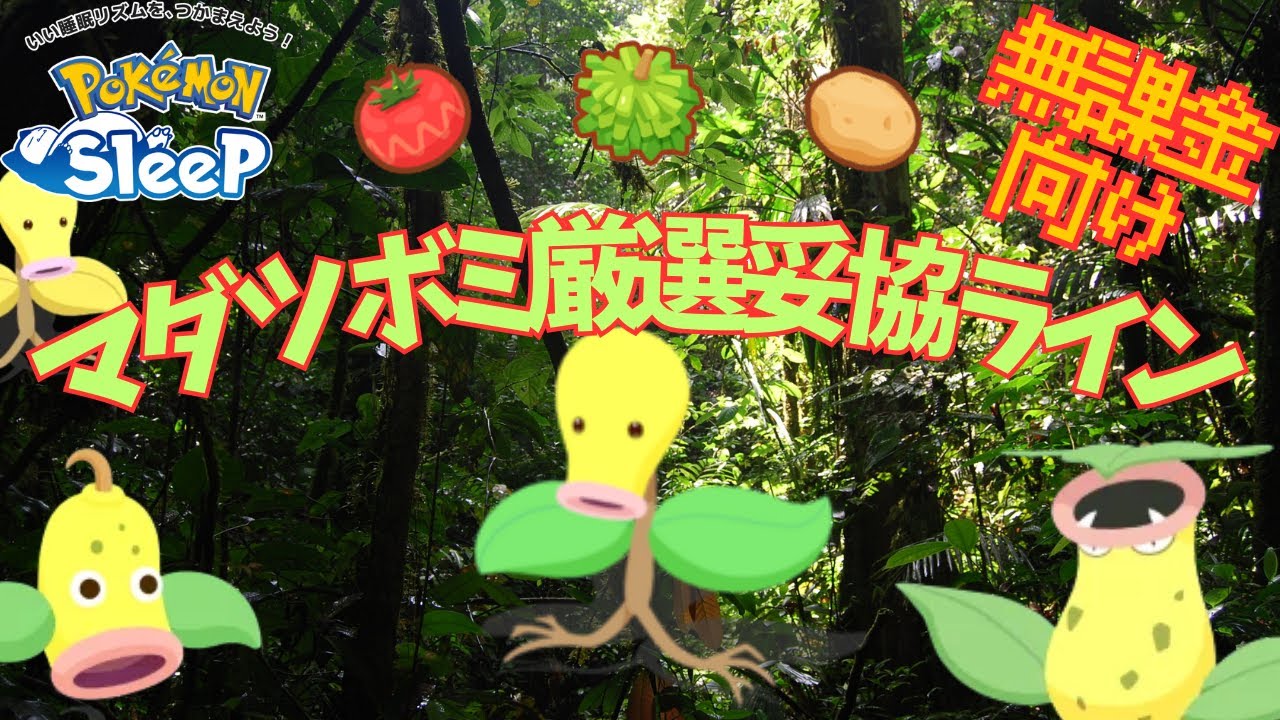 【ポケモンスリープ】 無課金向けマダツボミ厳選妥協ライン ウツボットは絶対に育成するべきです！