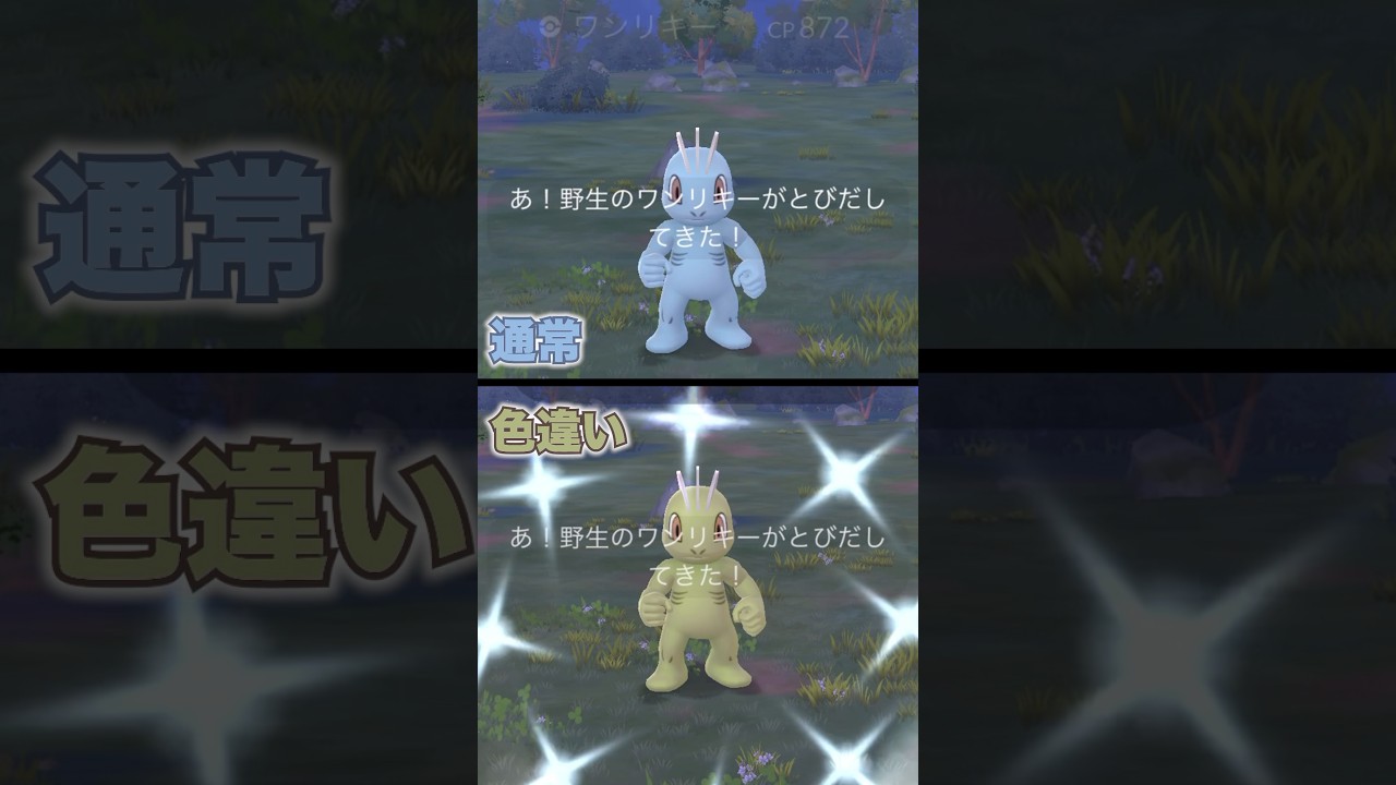 【通常&色違い】ワンリキー！#ポケモン #ポケモンgo #ポケgo #pokemongo #pokemon #shiny #reels #yoasobi