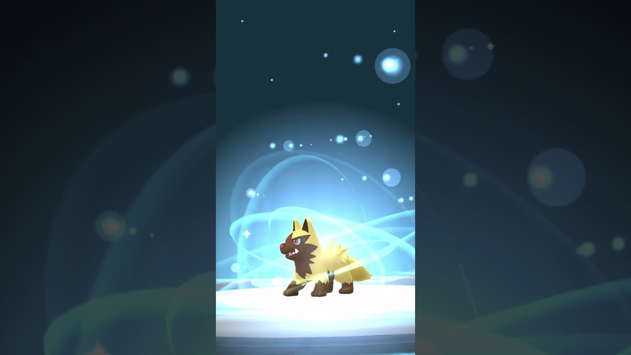 We Caught Shiny Poochyena in PokemonGo #pokémon #nintendo #pokemonGo