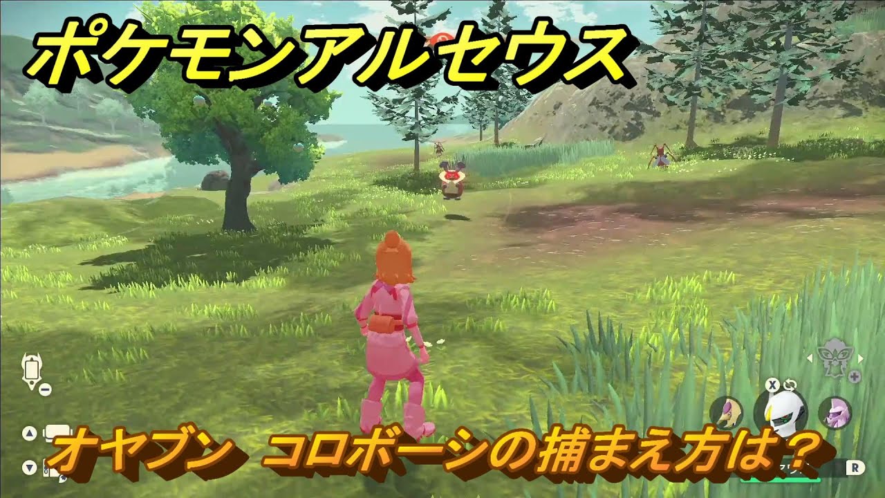 ポケモンアルセウス　オヤブン　コロボーシの捕まえ方は？出現場所は？　＃５６４　【Pokémon LEGENDS アルセウス】