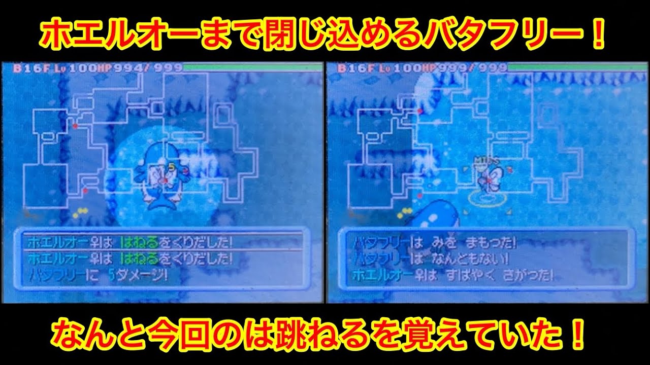 【ポケモンダンジョン時】 賢さと守るでホエルオーを閉じ込める瞬間！