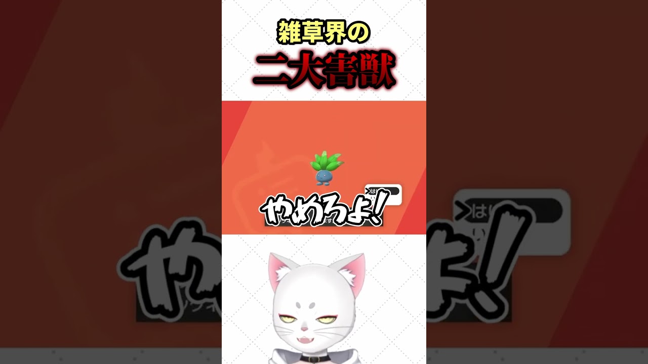 うちにはこないでもらえますか #shorts #ポケモンsv #pokémon #pokemonsword   #ポケモン剣盾 #ゲーム実況 #vtuber #ナゾノクサ