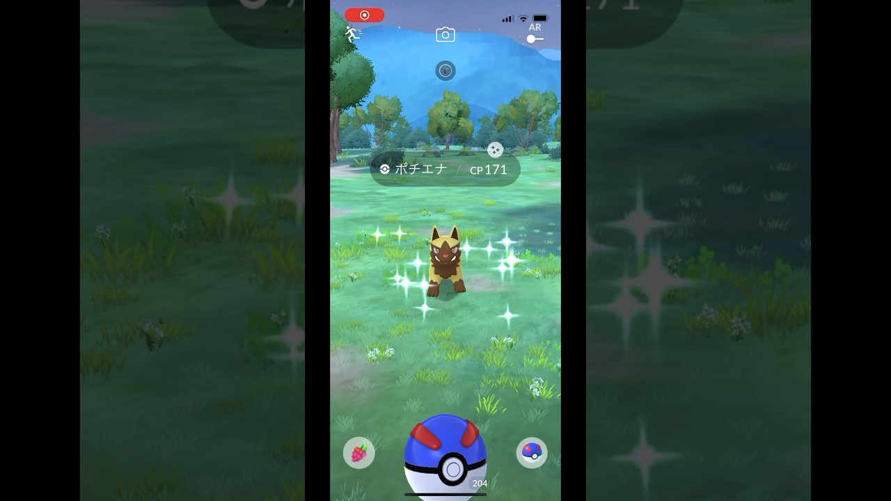 ポケモンgo 野生の色違いポチエナゲットチャレンジ　ゴールデンポチエナ　色違いグラエナ　金のポチエナ　#pokemongo #shiny