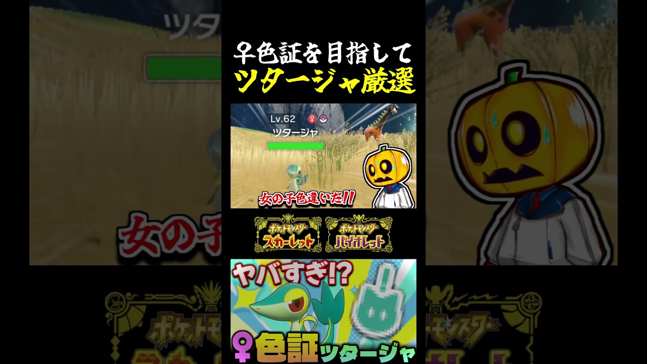 【ポケモンSV】♀色違い出現!! 激レアの♀色証ツタージャを目指して地獄の厳選開始!!【切り抜き】【色違いポケモン】【色違い厳選】#shorts