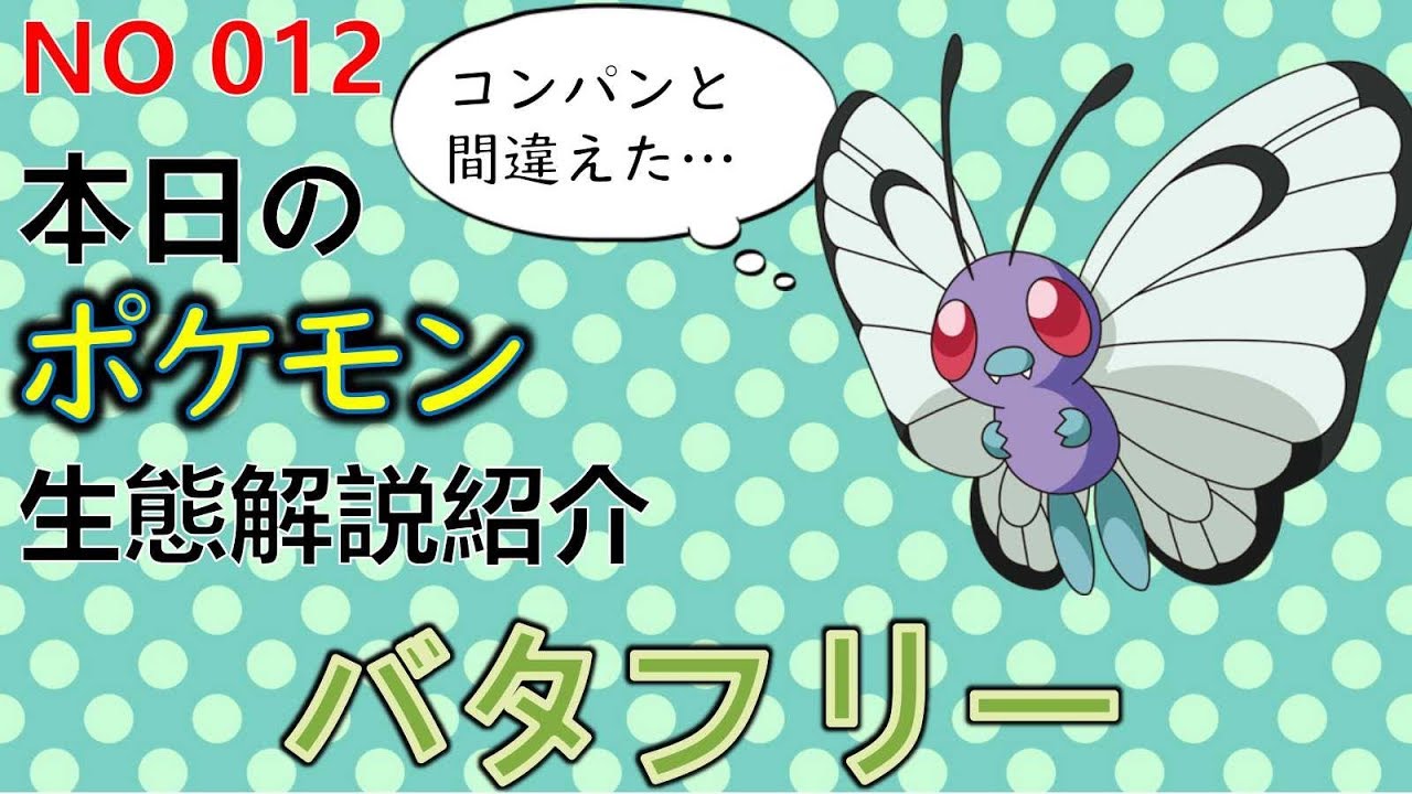 【考察】 「ポケモン解説」強くもない弱くもない　バタフリーの生態と小ネタ解説 012「ゆっくり実況ポケモン図鑑」 平日18時30分毎日投稿中！ 【ポケモン図鑑詳細版】