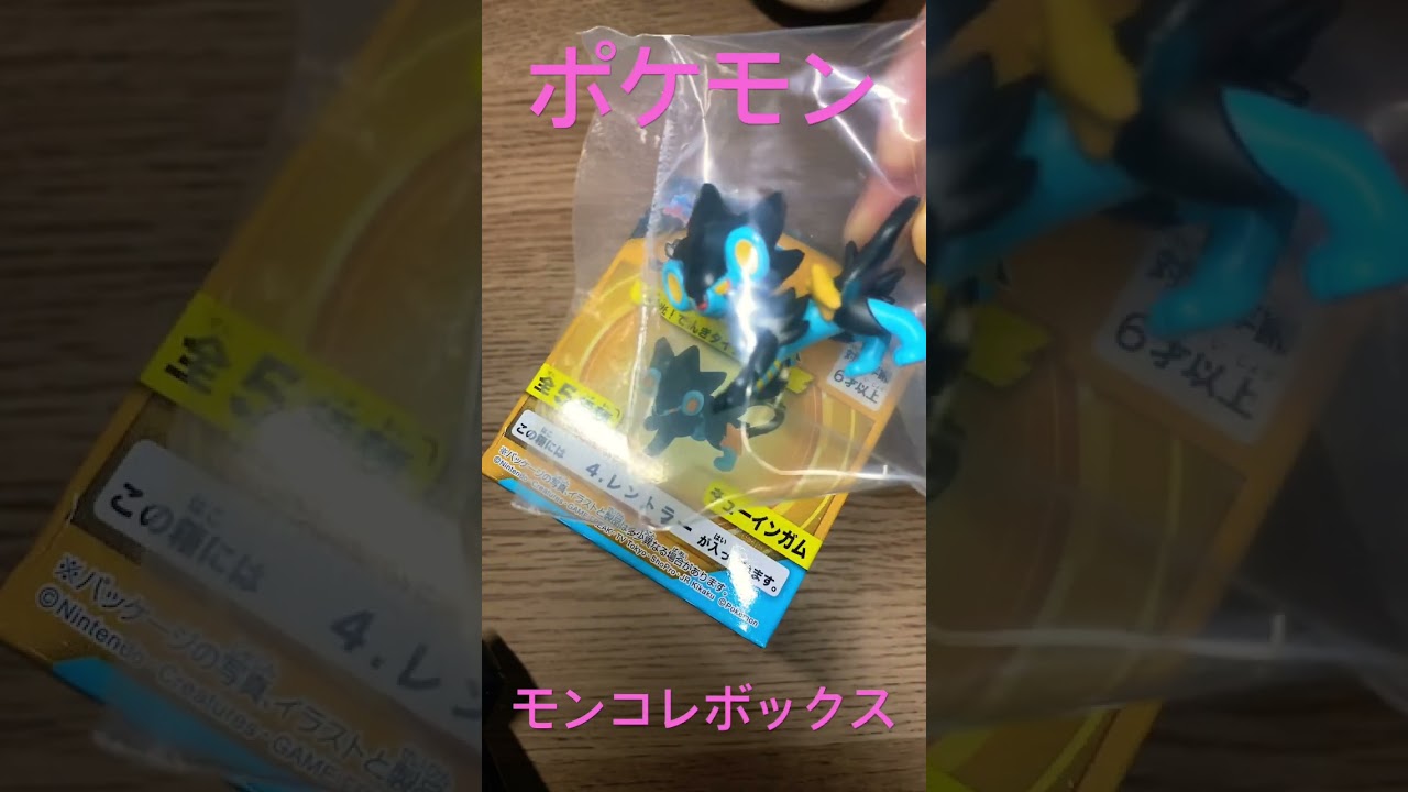 ポケモンモンコレボックスvol.12閃光！でんきタイプポケモン4.レントラー　きんぐかずと　@kingkazuto  pokemon