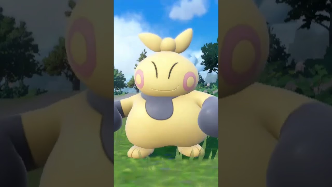マクノシタ Makuhita【ポケモンsv】