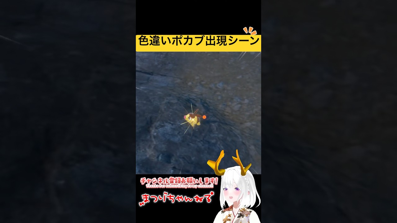 #ポケモンsv 色違いポカブ出現シーン #vtuber #shorts