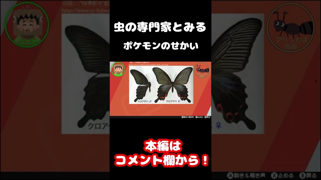 昆虫の専門家が1分解説！【バタフリー】#shorts