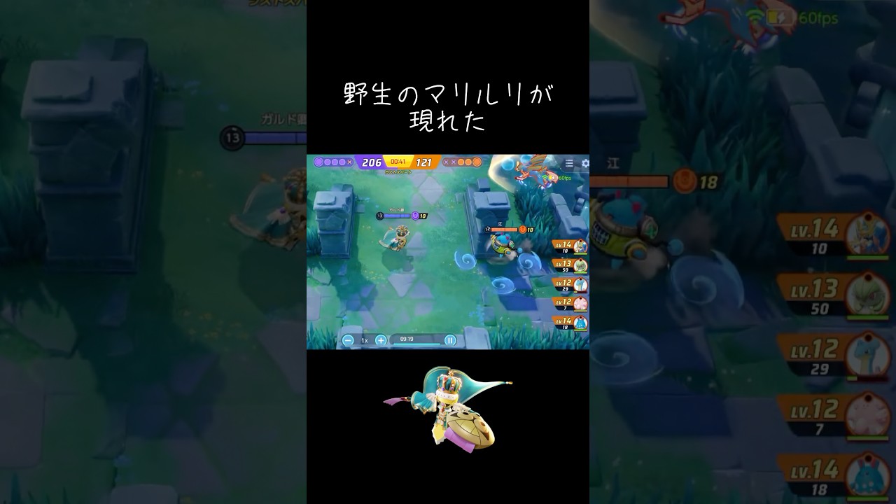 野生のマリルリが現れた #ポケモンユナイト #ギルガルド #shorts