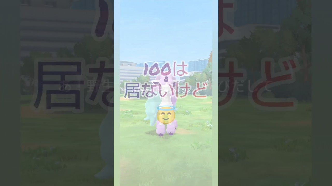 ポニータコミュ🐴 (ꕤ ॑꒳ ॑*)ﾉ #shorts  #pokemongo