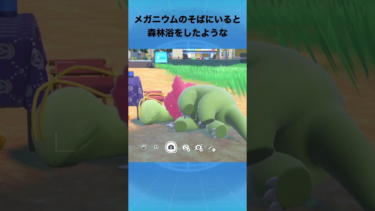 メガニウムについて #ポケモン #メガニウム #御三家