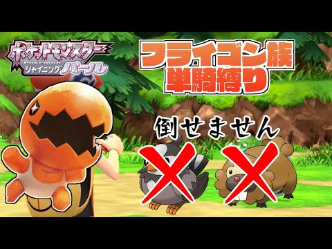 ムックルが倒せない地獄のレベリング【フライゴン族単騎シャイニングパール実況①】#ポケモン #ゆっくり実況 #縛りプレイ