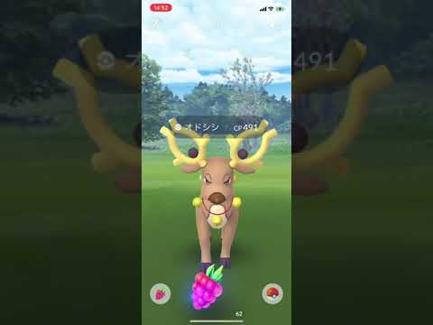 【ポケGO】ポケモンGO 今年もクリスマス仕様のオドシシ、トナカイバージョンが実装されてた！