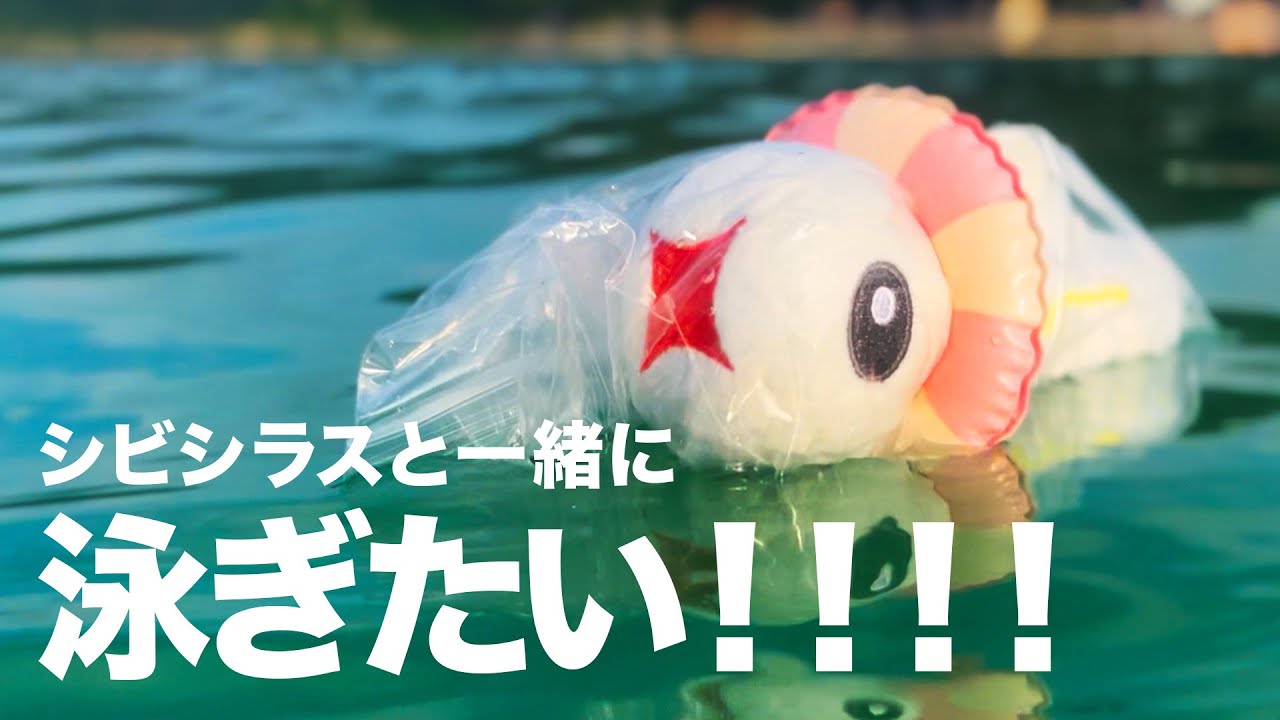 【ポケモンfit】シビシラスと一緒に泳ぎたい！！！！！！