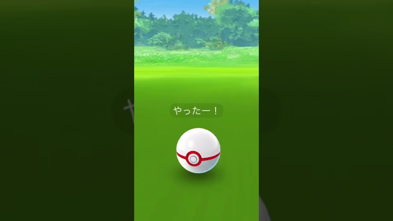 初のカプ・コケコ                 個体値悪くない￼😭😭