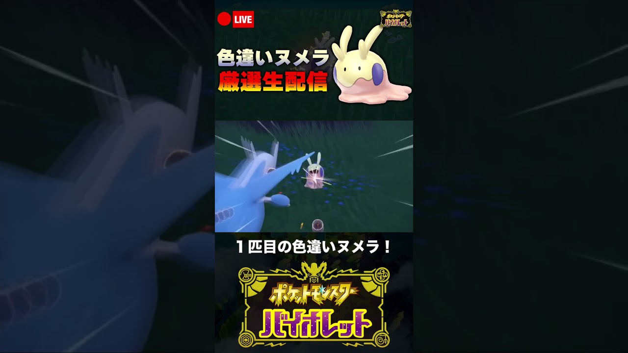 １匹目の色違いヌメラに出会った男【ポケモンSV】 #shorts
