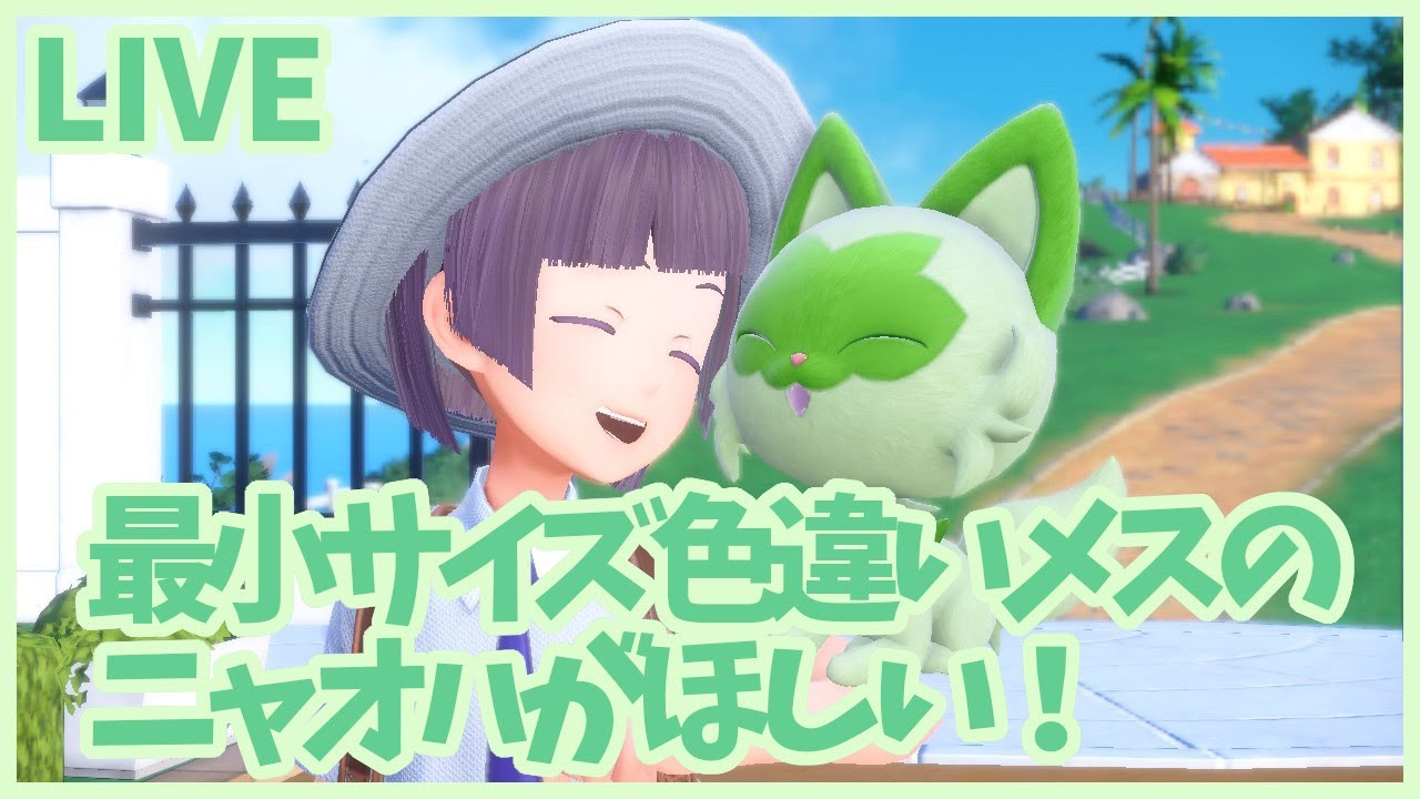 【色最小メス厳選】ちょっとだけニャオハ孵化【ポケモンSV】【151日目】～匹目まで