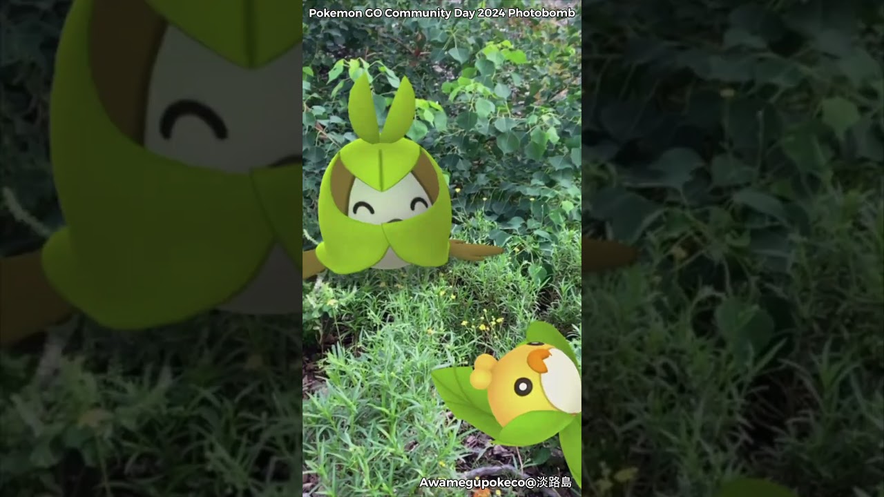 クルミル｜Sewaddle｜クルマユ｜Swadloon｜ハハコモリ｜Leavanny｜ShinyPokémon【ポケモンGO】PoKeMoN GO AR｜GOsnapshot｜gophotobomb