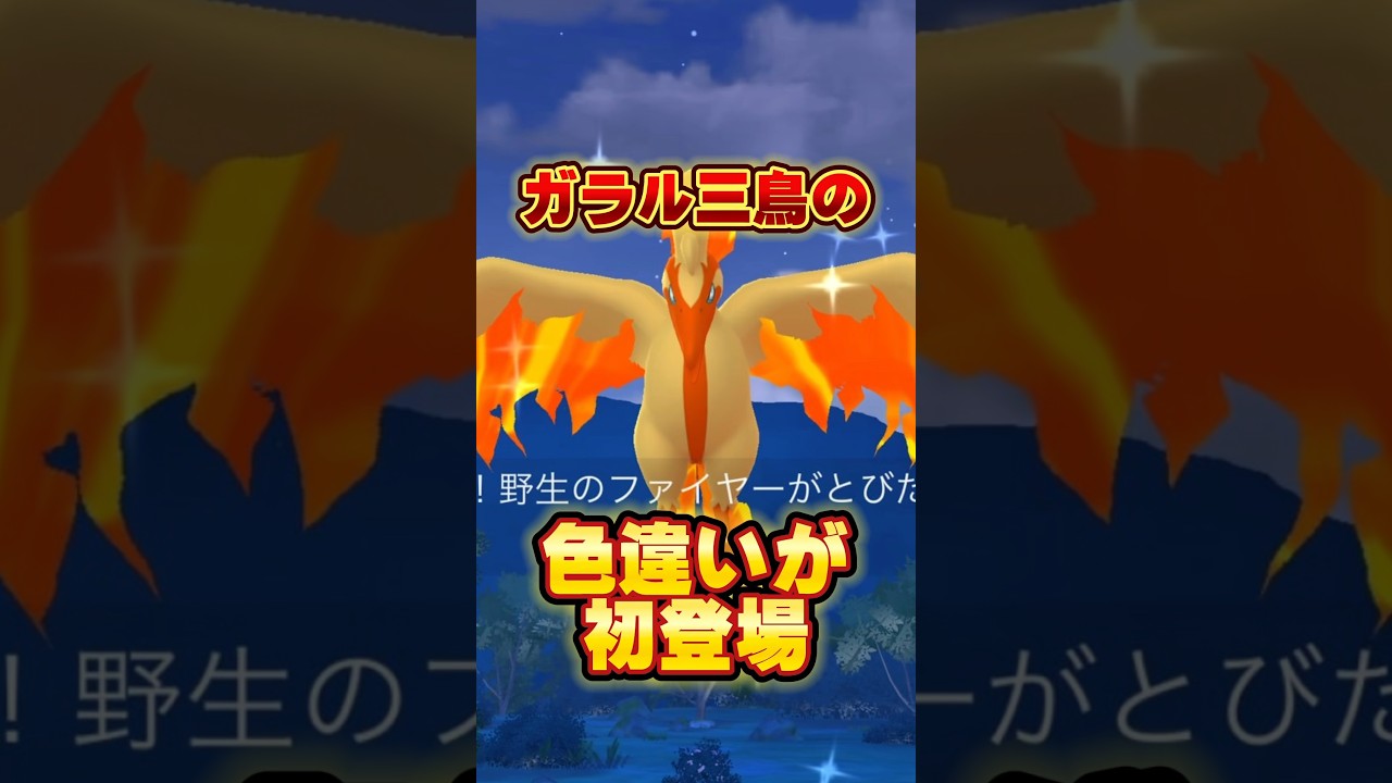 ⚠️絶対注意⚠️色違いガラル三鳥に逃げられる恐ろしい事例を3パターン紹介【ポケモンGO】 #ポケモンGO #ガラル三鳥 #ガラルファイヤー　#ガラルサンダー　#ガラルフリーザー　#おさんぽおこう