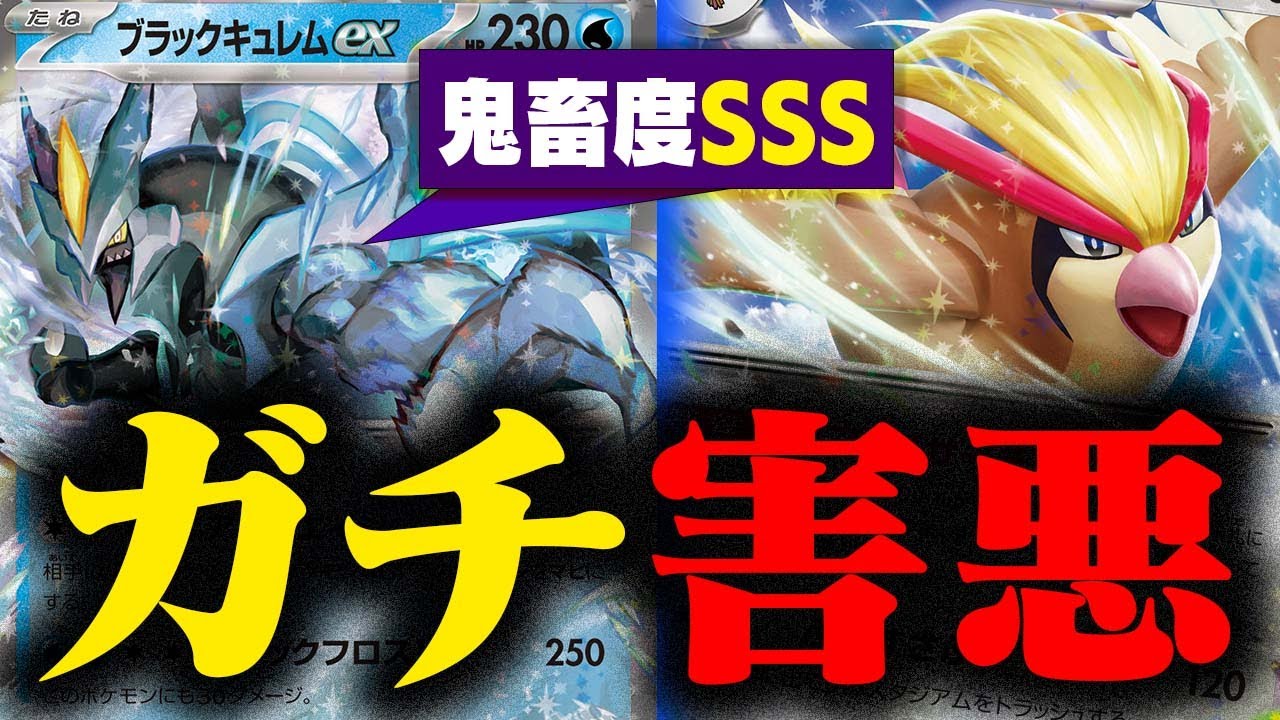 【害悪】ピジョットコントロールにとんでもない『恐化』が入りました…【ブラックキュレムex】