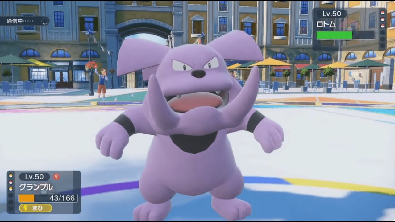 ポケモンSV シングルバトル 犬たち（グランブル・ヒスイウインディ）で戦う