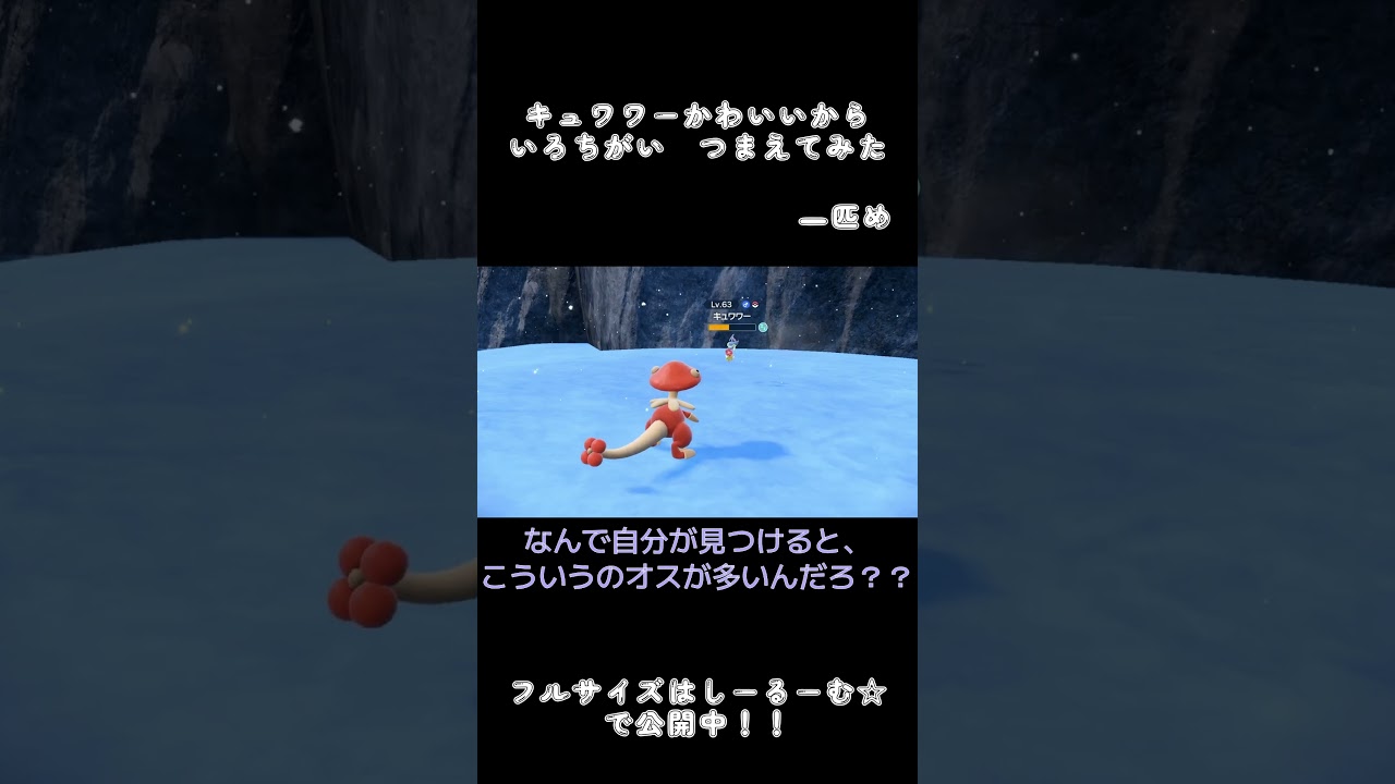 キュワワー捕まえた！！【ポケモンSV】