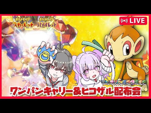 【オシャボ全11種】オシャボヒコザル配布会＆最強ゴウカザルワンパン周回【ポケモンSVポケモン配布】