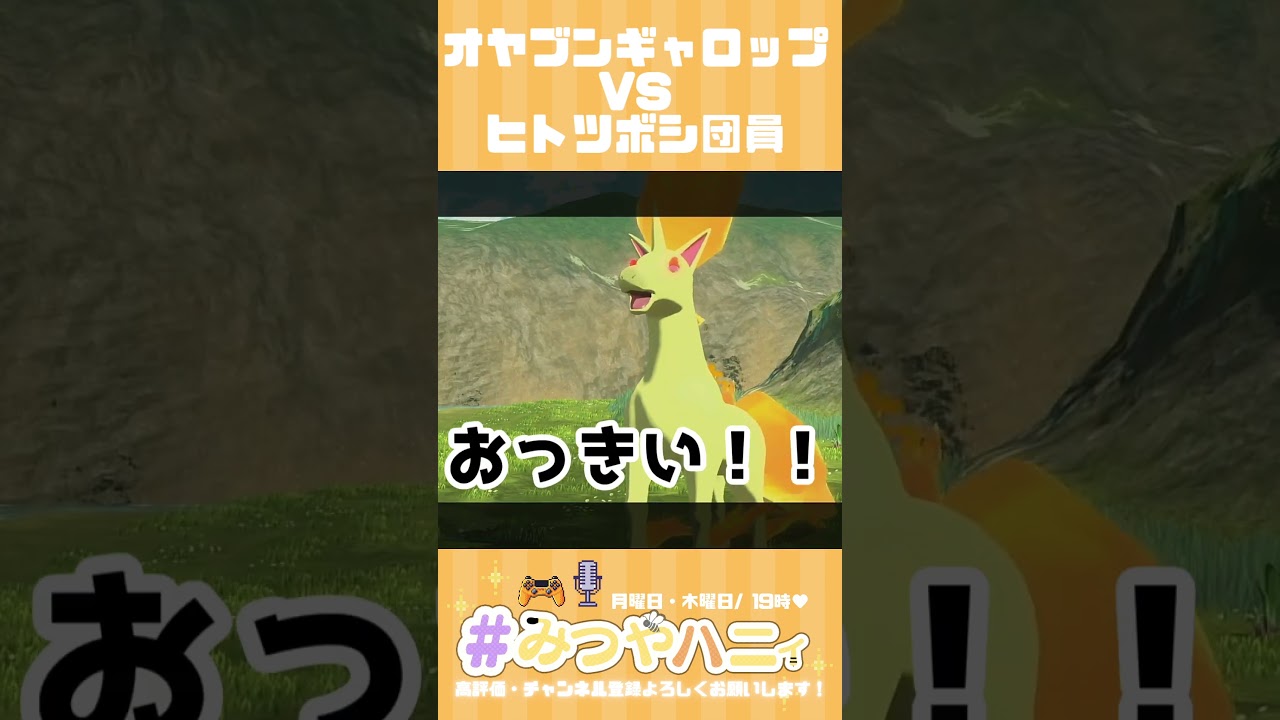 オヤブンギャロップVSヒトツボシ団員【ポケモンレジェンズ アルセウス】 #ポケモン #ポケモンLA #pokemon #pokemonlegends  #ゲーム実況 #切り抜き #shorts