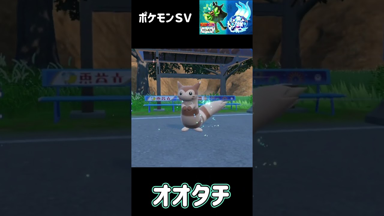 オタチ　進化　オオタチ　ポケモンSV みどりの仮面　#pokemon
