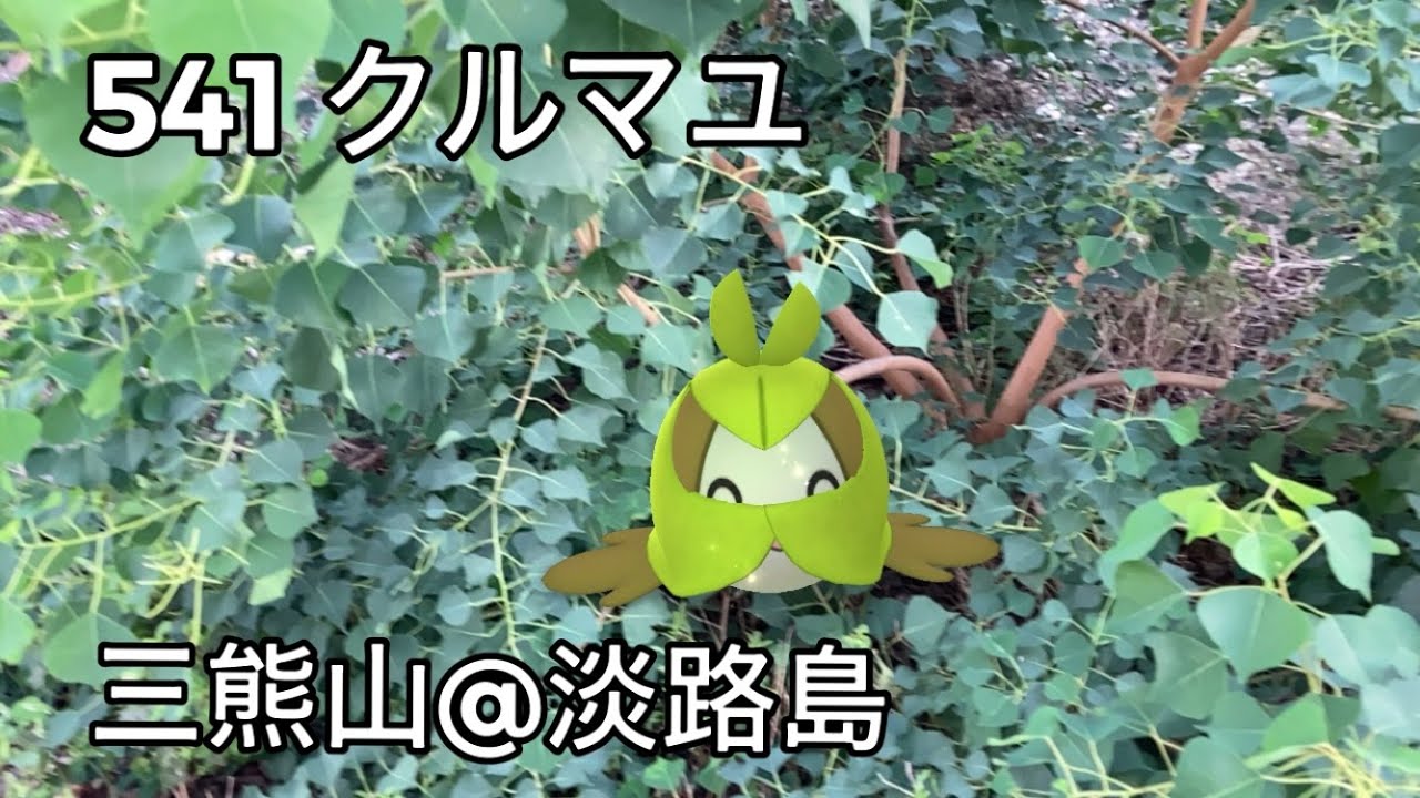 【ポケGO動くポケモンずかん】541クルマユ｜Swadloon｜ShinyPokémon【ポケモンGO】PoKeMoN GO AR｜AR動画｜GOsnapshot｜PokemonGO｜淡路島