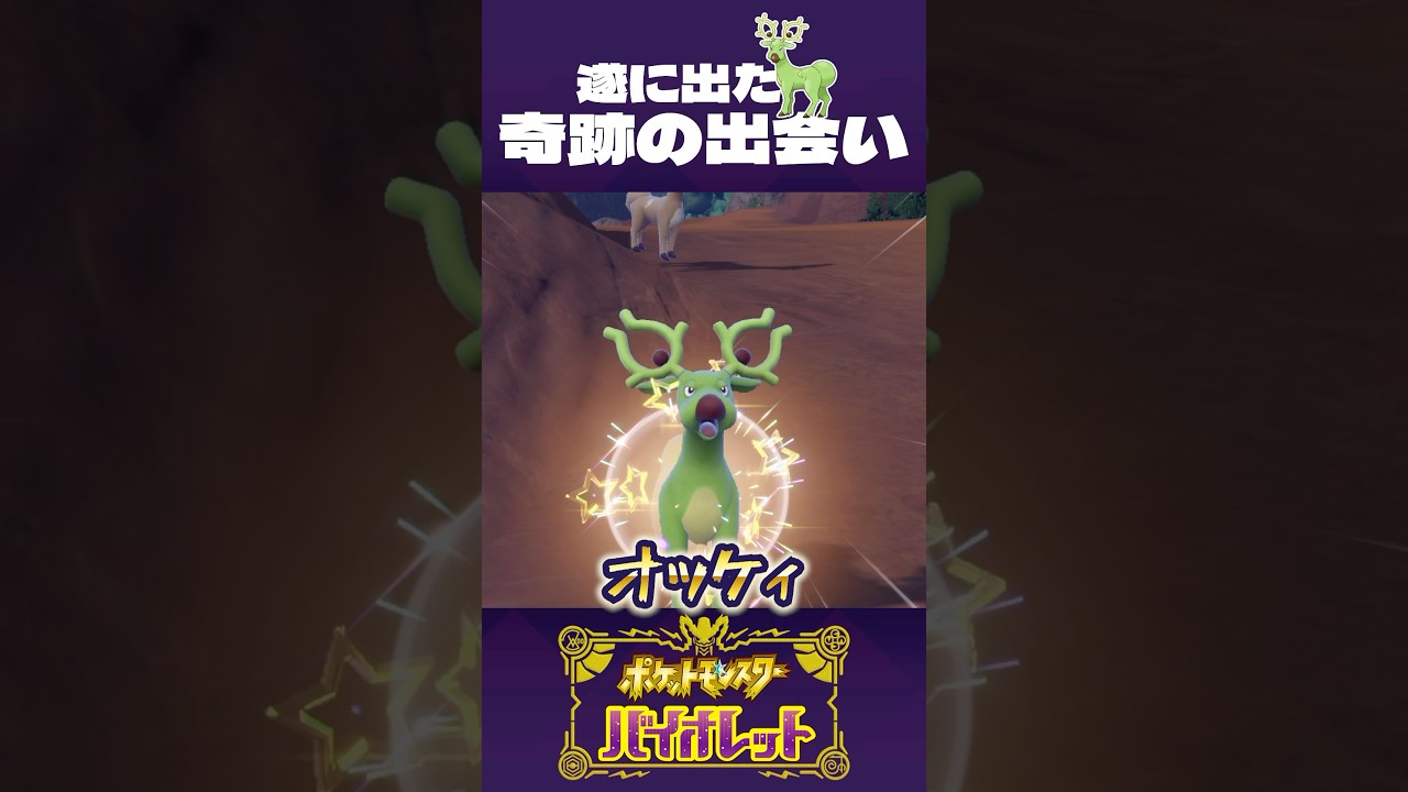 大きいオドシシと、奇跡の出会い【ポケモンSV】