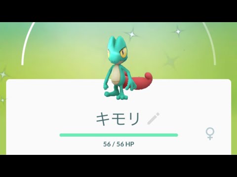 【２体目色違いキモリ】#shiny #Shorts #pokemongo #キモリ　#ポケモンgo