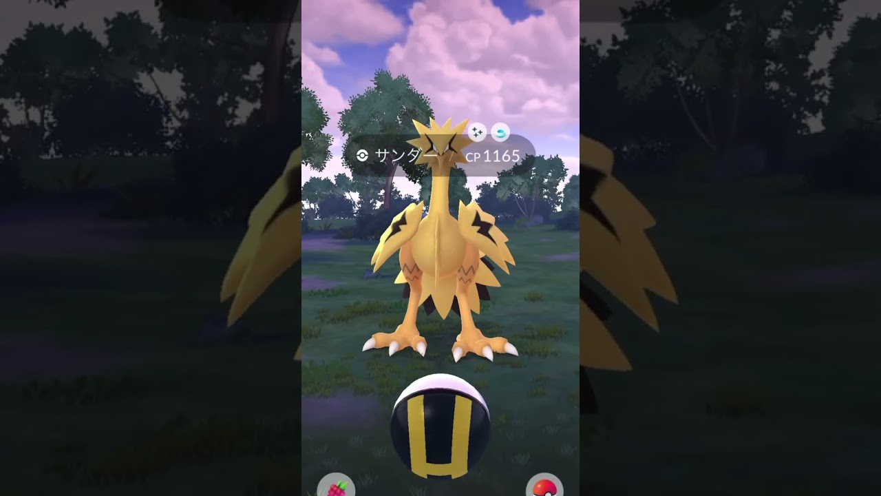 、、、こ、こんなことある！？⚠️絶対に真似しちゃダメ　#ポケモンGO#Shorts#色違いガラル三鳥