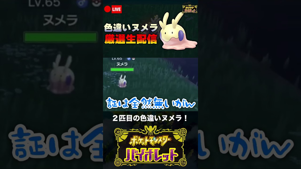 ２匹目の色違いヌメラに出会った男【ポケモンSV】 #shorts