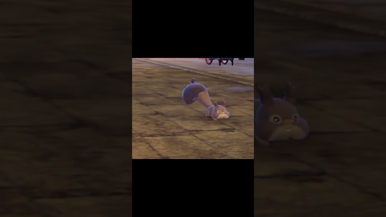 通り過ぎるホシガリス　#Shorts