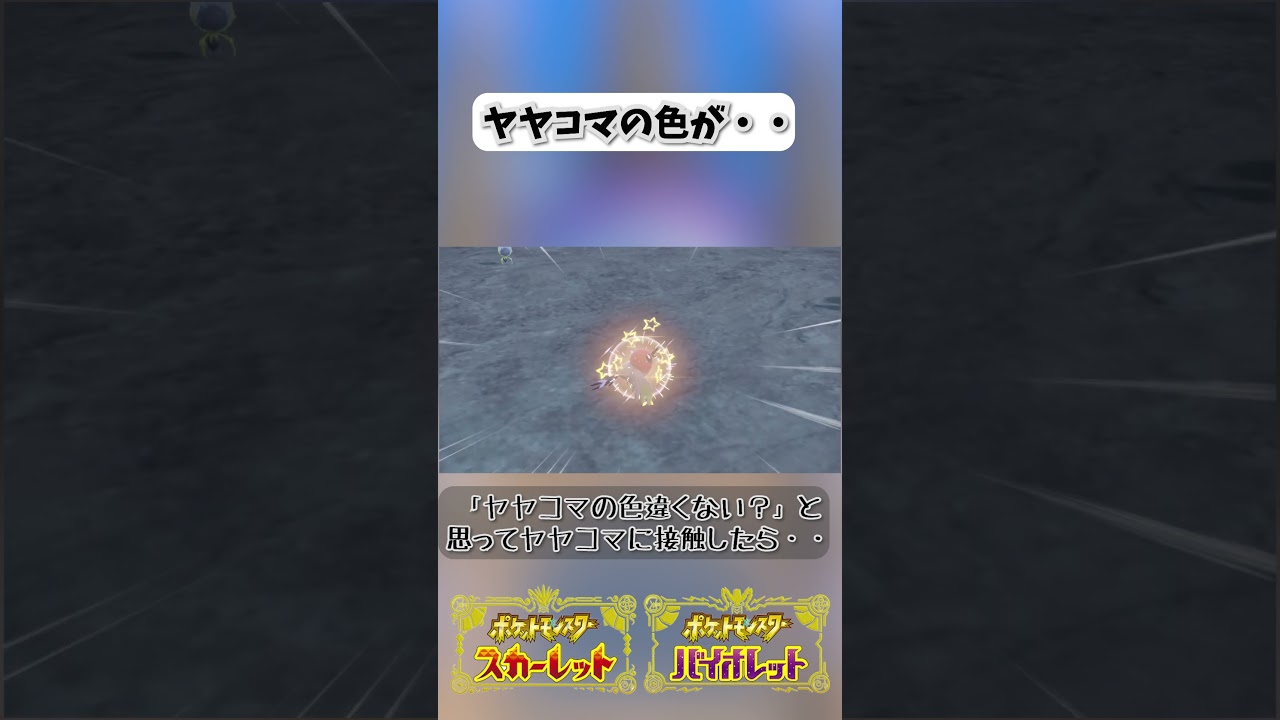 ヤヤコマの色違いが分かりにくい件【ポケモンSV】 #shorts #ポケモンSV #ヤヤコマ #色違い #ブルーベリー学園 #ポリゴンｚ