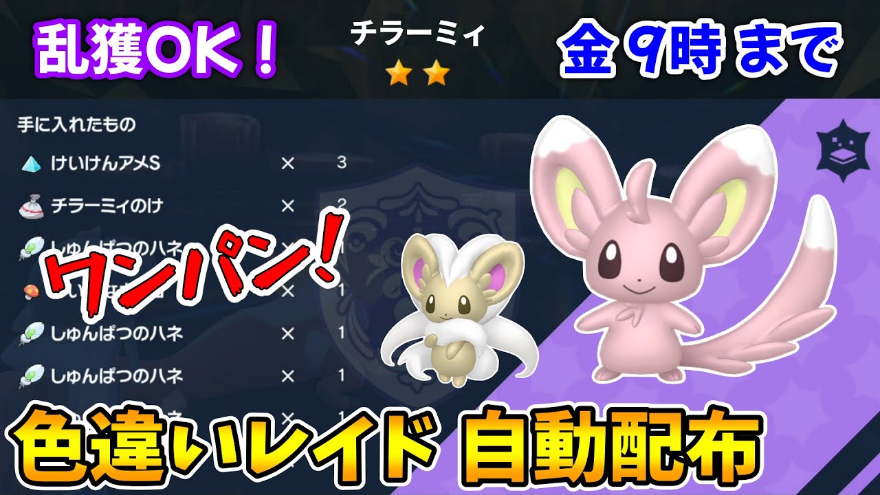 乱獲OK！チラーミィ色違いレイド自動配布会！【ポケモンSV】