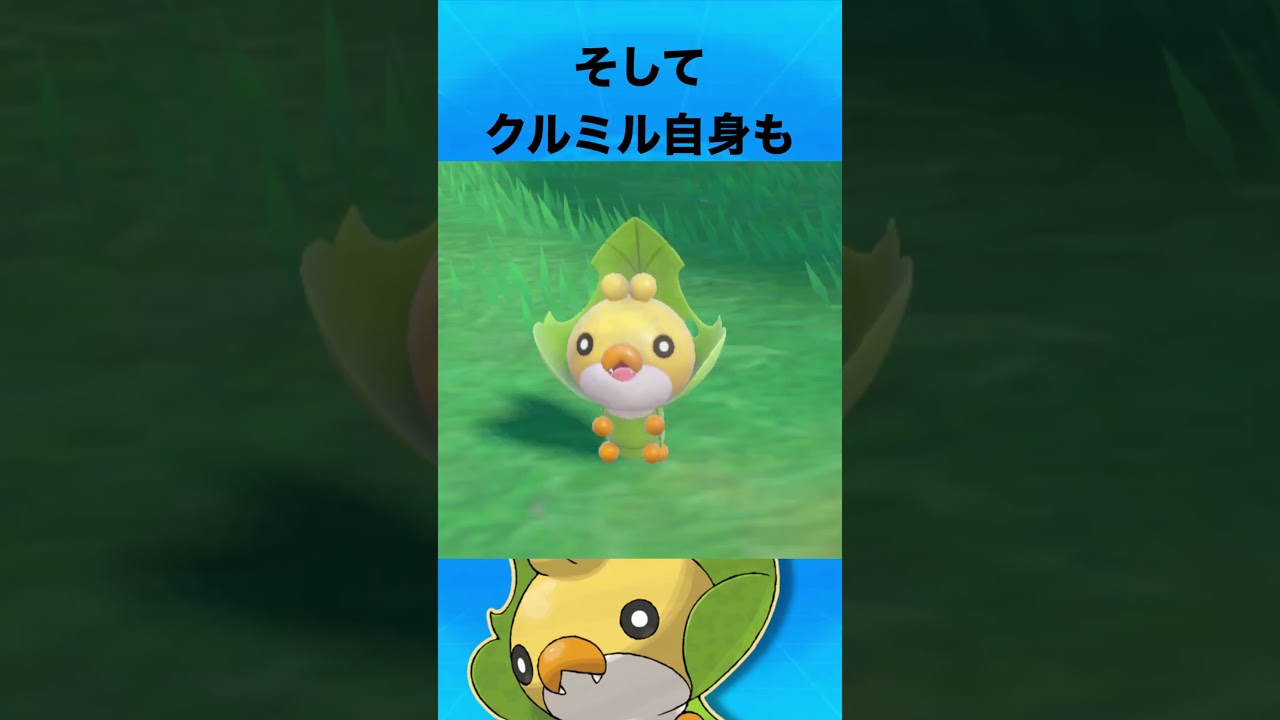 クルミルについて #ポケモン #クルミル
